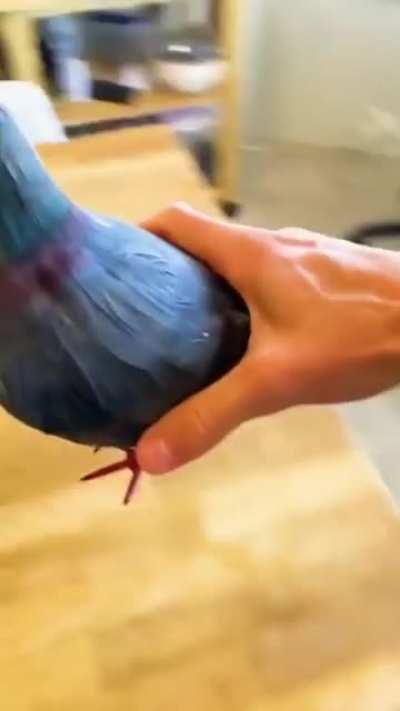 Kinda cool, honestly