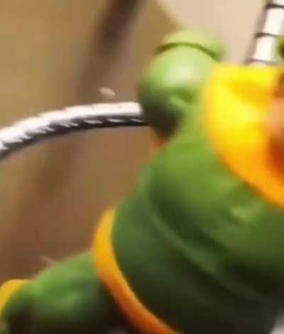 Life goes on and on and on and on don’t know who made it