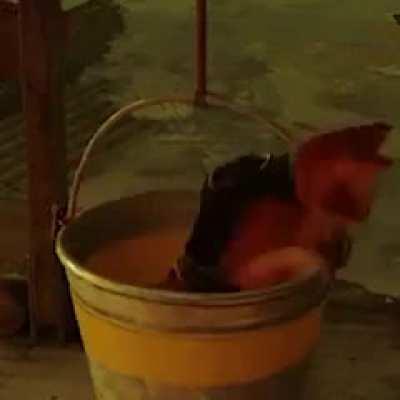 HIS name IS ShitHead!?!??!?