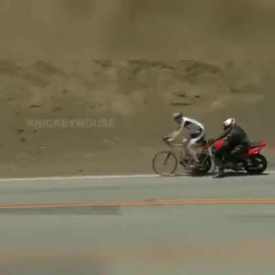 Freshly prepared mixed vegetable casserole