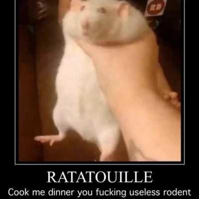 Then the Gods gifted the Humans with a masterpiece, and they shared it with their brothers in arms