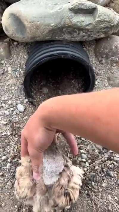 Oh no is it my turn next?