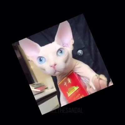 fancam for my beloved