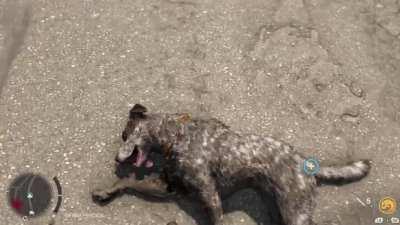 They killed Boom Boom!