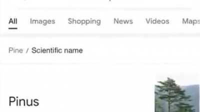 Explain this scientists