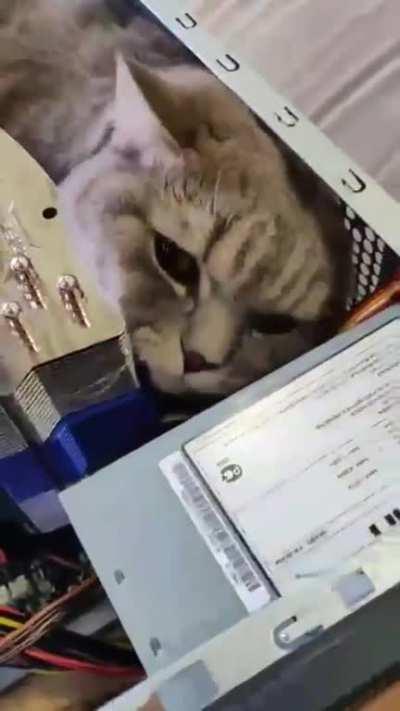 Главный сборщик ПК