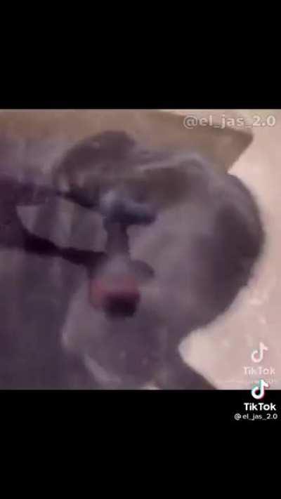 Dilan o Dylan o Dillon😎😎