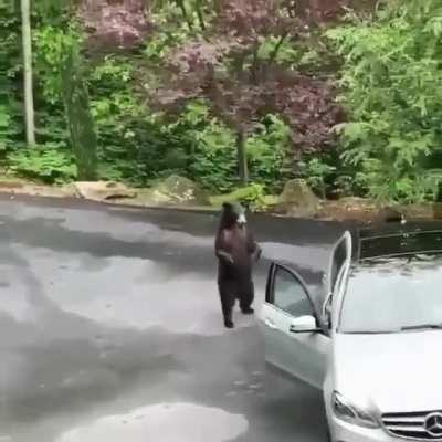 Don't f*ck with the Mercedes!! AHHHHHH