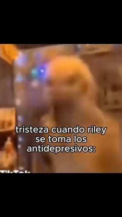 que onda con el grito