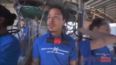 Animal right activist military operation