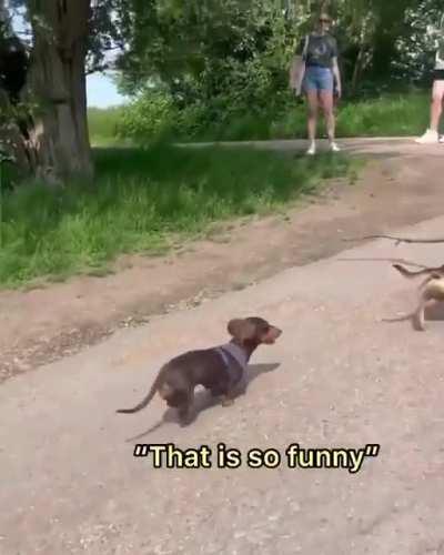 Somebody ought to tell him