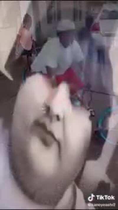 السياق أنا القرف على كل 🤯🤯🤯🤯🤯🤑🤑🤑🤑