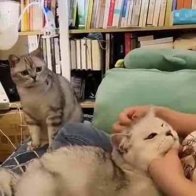 That look speaks volumes