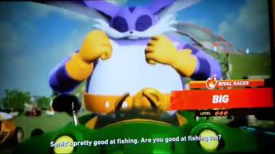 Big & Metal Sonic Interaction