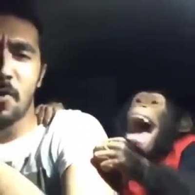 Upvote para el pana mono