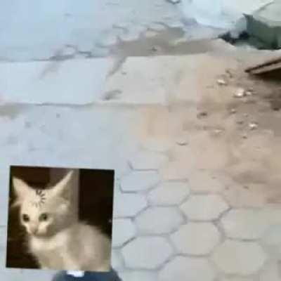 não é meu só gostei e quero mostrar feito por u/NoWeb7072