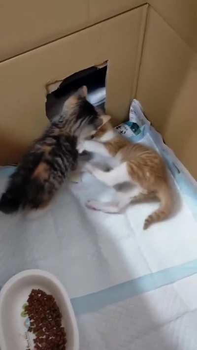 What is bro hiding in there 👀