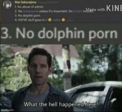 no dolphin p*rn