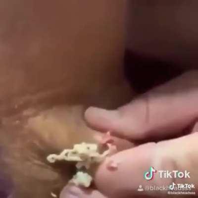 I thought you guys would appreciate it