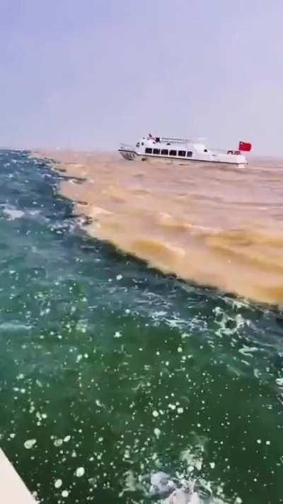 The silt-laden fresh water of the Fraser River and the sea water of the Strait of Georgia do not mix and therefore form a clearly visible boundary between each other