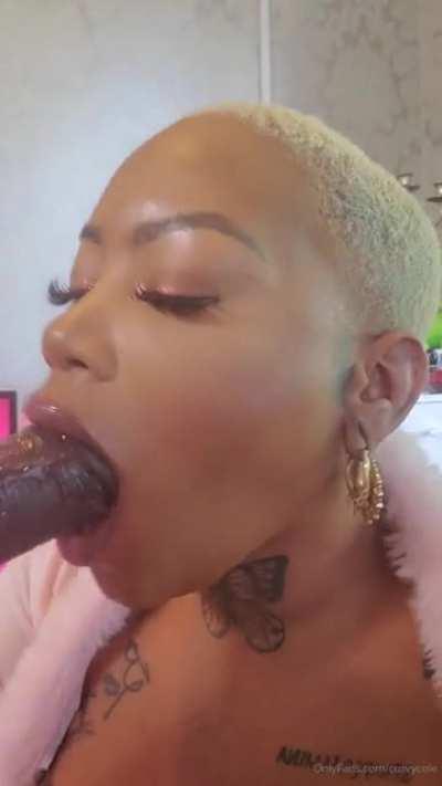 LitOnlyNation - Video #3626