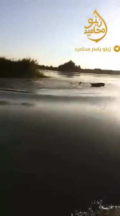 They tried to kill fishes with a sea mine.