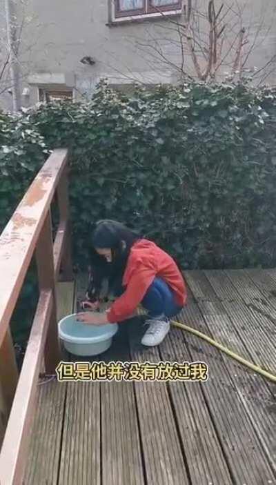 荷兰，我劝恁别去