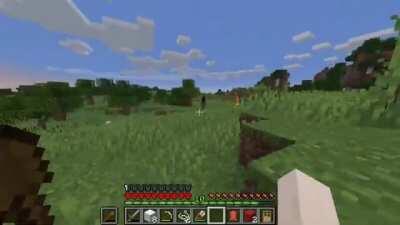 welyn's first time playing minecraft... and pretty much his whole hardocre playthrough too