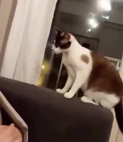 I’m not scared of youuuuu