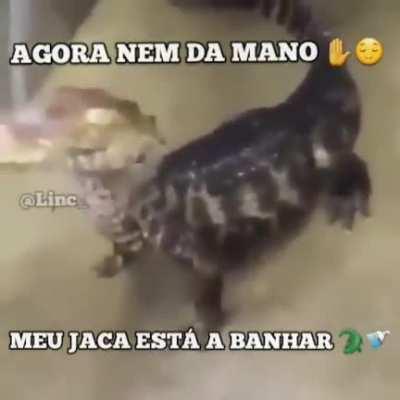 Aqui, esse vídeo que será útil em todas as situações