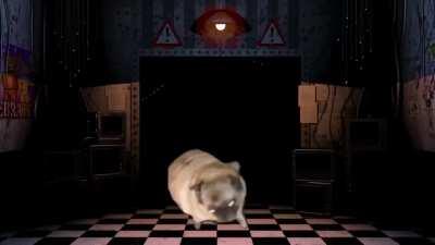 PUG DANÇANDO AO SOM DE FINAF 2 KKK