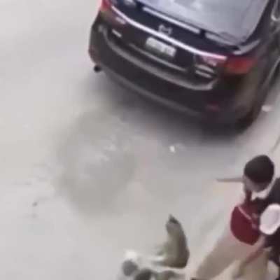 Cat pokemon I choose you