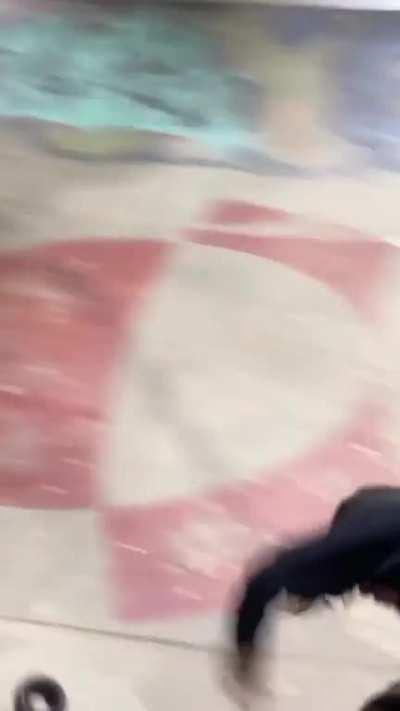 Dog dislikes skaters