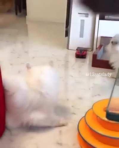 Hey guys, what’s this?