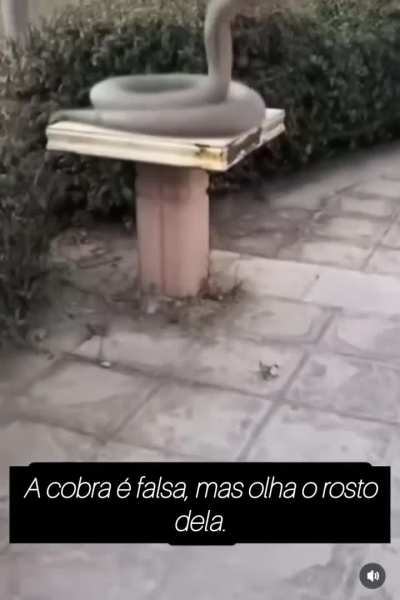 Tem alguma coisa estranha aqui.