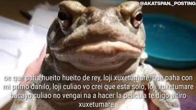 Wn el sapo conchetumare se parece XD