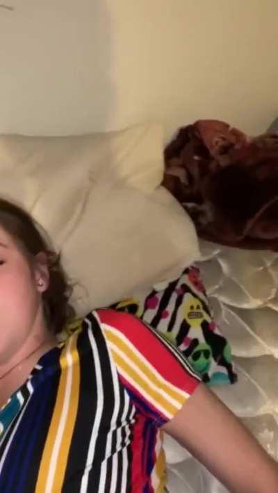 Black dude smashes tiny white slut's pussy