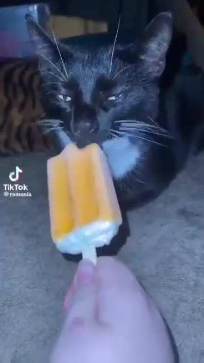 i have discovered more memes, we back