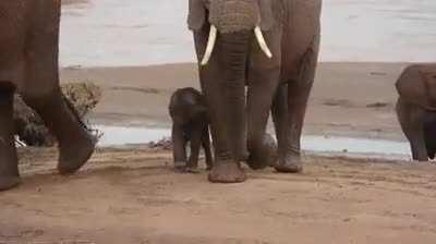 When you forget which one is mom