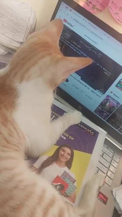 She is serious 📈 cut off this year