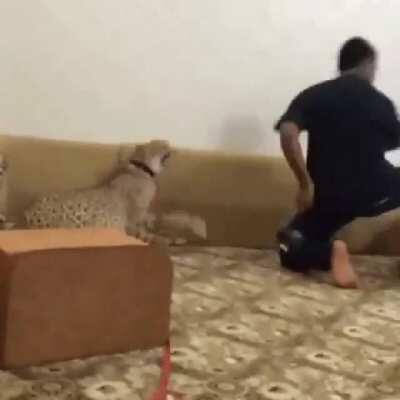 Why would you do that?