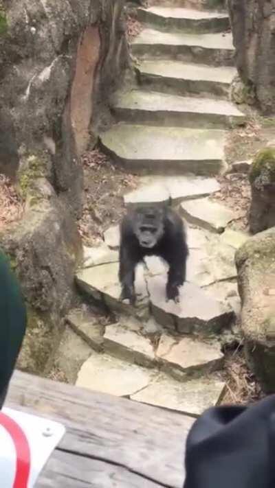 Never take grandma to the zoo