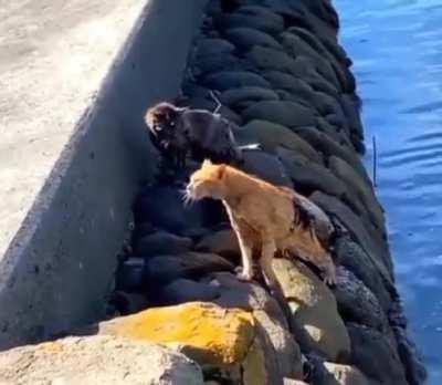 let’s not do that again