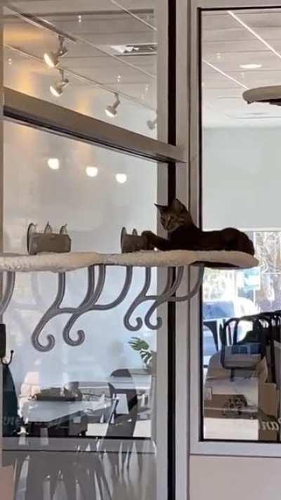 Pull the Lever Kronk