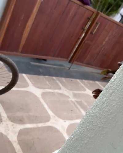 Nawazuddin and his wife arguing over custody of their children.. Article link in comments