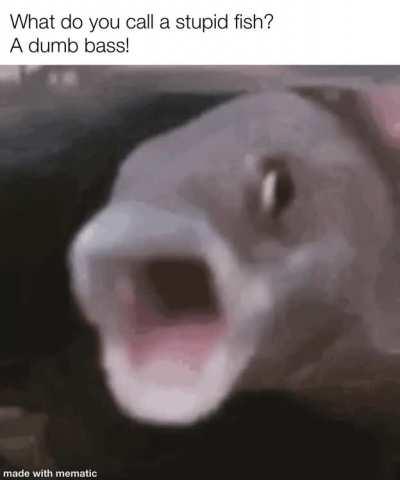 Fish meme