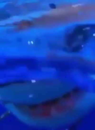 An underwater surprise.