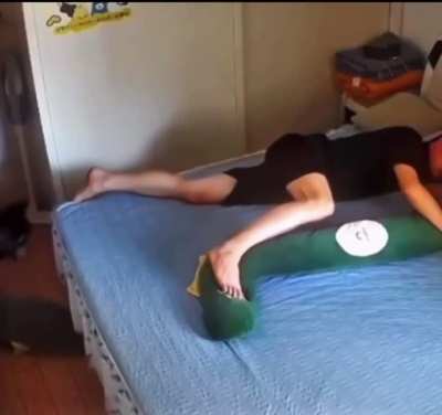 When the husky thinks the pillow has taken over his spot…