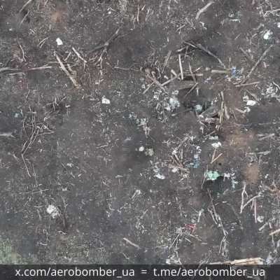 Ukraine's 30th Mechanized Brigade 