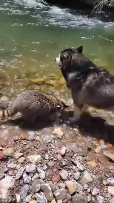 Дай кое-что на ушко скажу...